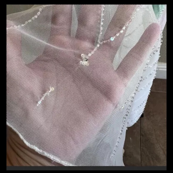 Rickie Freeman for T.J Nites Mesh Beaded Floor Length Gown Size 4 - Picture 14 of 14